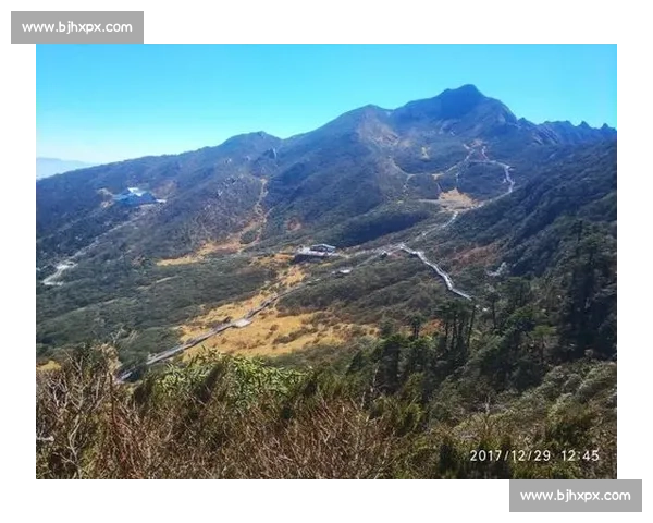 李行vs时代强敌巅峰对决引爆赛场风云之夜全景解析背后故事与技术博弈